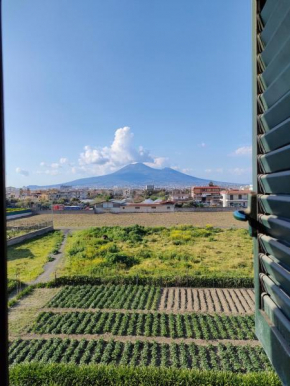 Lilla Housing Castellammare Di Stabia